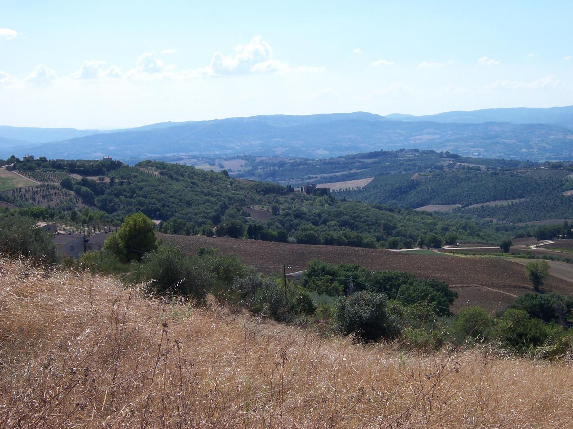 Agriturismo La Casella San Terenziano Eksteriør billede